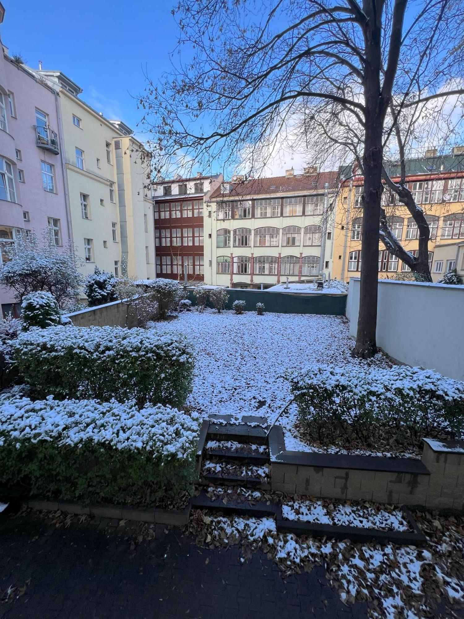 Cozy Garden Apartment In The Heart Of Prag Eksteriør billede